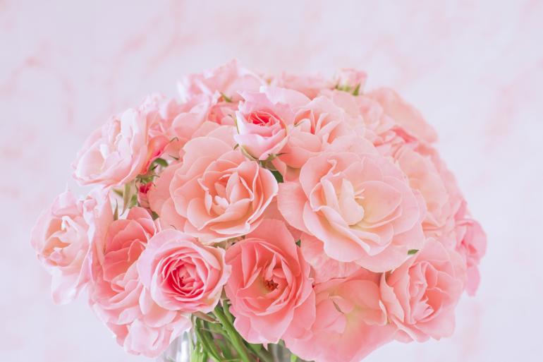 11月の休業日のお知らせ